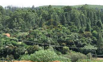 Imagem 2: Terreno - Joaquim Egídio - Campinas