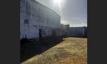 Imagem 4: Alugo Galpão/Depósito/Armazém no Bairro Parque Ipê, Próximo da Av. Transnordestina ( Br 1