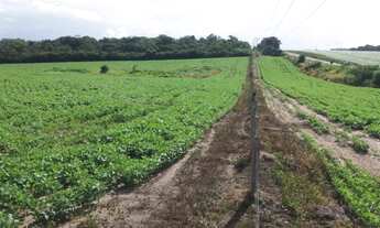 Imagem: FAZENDA DE SOJA EM GRAJAÚ