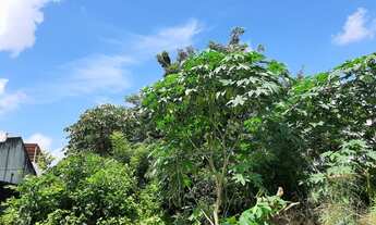 Imagem 4: Terreno Disponível para Locação E Venda