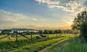 Imagem 2: NOVA OPORTUNIDADE - Crédito Rural grupo em andamento