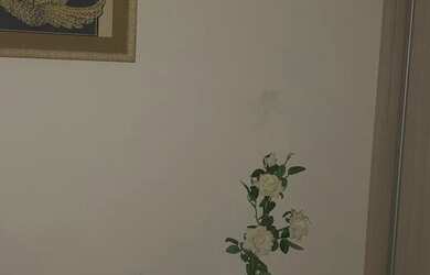 Imagem 7: Apartamento para venda tem 65 metros quadrados com 3 quartos em Brás - São Paulo - SP