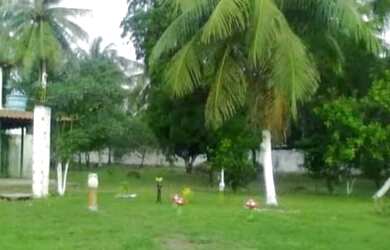 Imagem 5: Vende-se um sítio no Apaco ao lado da Cidade Operária<br&gt