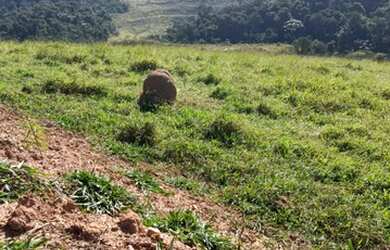 Imagem 7: V12-Venha morar na tranquilidade do interior