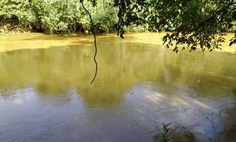 Imagem 3: Chacara em São Miguel do passa quatro na beira do rio dos bois a 90 km de Goiânia