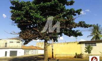 Imagem: Terreno (terreno normal