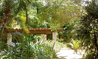 Imagem 6: Fazenda/Sítio/Chácara para venda possui 8495 metros quadrados com 5 quartos