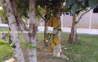 Imagem 4: Chácara de 2.000 em Porangaba em condomínio aberto