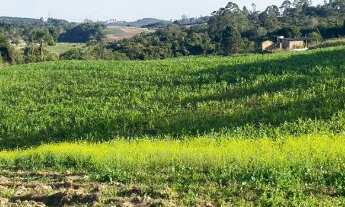 Imagem: Terreno a venda aceita entrada parcelas