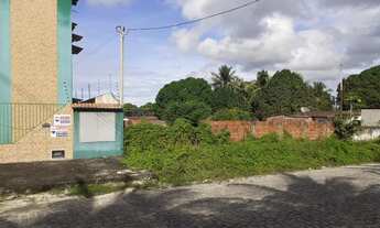 Imagem 4: Lote de 15 X 30, Santa Tereza, Parnamirim