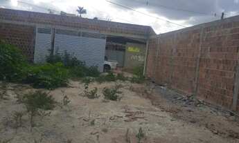 Imagem 7: Vendo lote murado em Gravatá