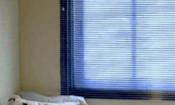 Imagem 7: Piazza Toscana. 3 Quartos, 1 ou 2 Vaga de garagem. Torres Livorno & Lucca. V42