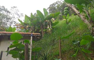 Imagem 3: Chácara 02 dorms com 2032m² (Água Soca