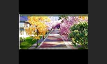 Imagem 4: Vinhas Flamboyant - Lote 400 m2