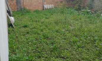 Imagem 5: Vendo casa na parada 98 da RS 030