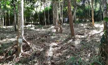 Imagem 2: Lote em condomínio à venda - Estância Serrana