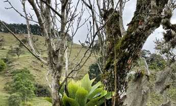 Imagem 4: Terreno Rancho Queimado / SC - Oportunidade