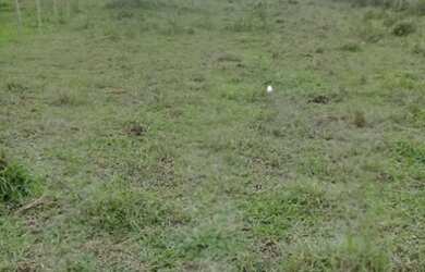 Imagem 3: Sítio Chácara Divinópolis