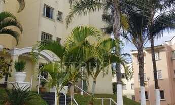 Imagem: Apartamento - Jardim Capivari - Campinas