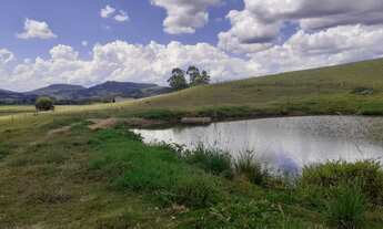 Imagem 2: Fazenda Própria para Pecuária com 4 Casa e Galpão em Santo António da Patrulha