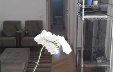 Imagem 6: São Paulo - Apartamento Padrão - Vila Madalena