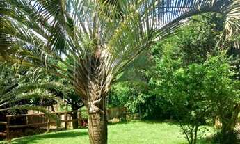 Imagem 7: Chácara - Loteamento Chácaras Gargantilhas - Campinas