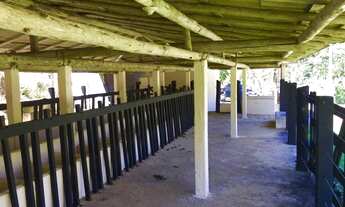 Imagem 6: Fazenda/sítios/chácaras com 4 dormitórios à venda em Santa Teresa