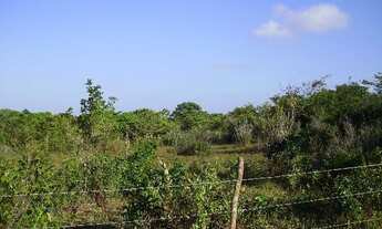 Imagem 2: Terrenos em Pium, próximos a Praia de Cotovelo !