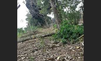 Imagem 5: Vende-se chácara de 7000 mts, Prox JD. Pimentel