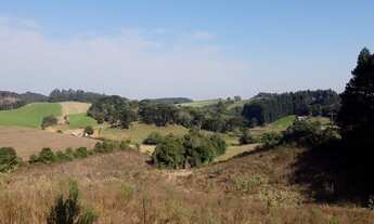 Imagem 2: Lote/Terreno para venda com 21000 metros quadrados em Centro - Campo Alegre - SC