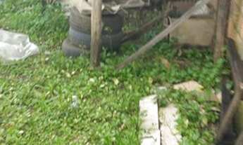 Imagem 3: Vendo casa na parada 98 da RS 030