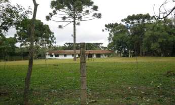 Imagem 5: Chácara com localização espetacular a 200m da BR277