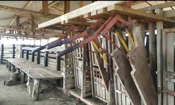 Imagem 6: Fazenda em Ribas do Rio Pardo MS