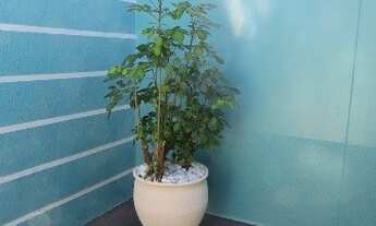 Imagem 5: Venda de casa Casa com 3 dormitórios