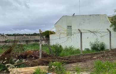 Imagem 5: Terreno - Nova Campinas - Campinas