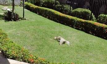 Imagem 2: VENDE-SE ÓTIMO APARTAMENTO DOIS QUARTOS / CANDEAL