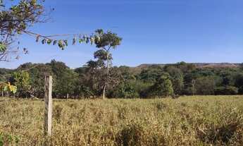 Imagem 6: Chácara 4000 m²