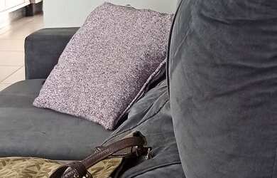 Imagem 5: Alugo anual casa centro Camboriú