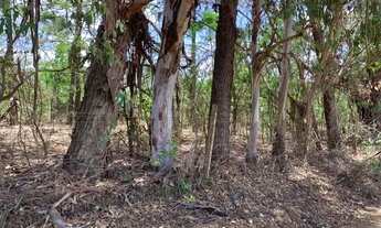 Imagem 7: Lote 1.000m² no centro de Vargem Grande, Baldim (Temos várias opções). Baldim