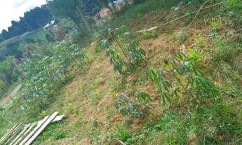 Imagem 4: Chacrinha a venda