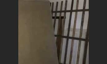 Imagem 2: Casa com 2 dormitórios para alugar em Belo Horizonte