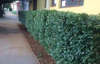 Imagem 6: Comecial Athenas - Sala Comercial com ,