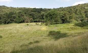 Imagem: CAMBORIú - Terreno Padrão - Braço