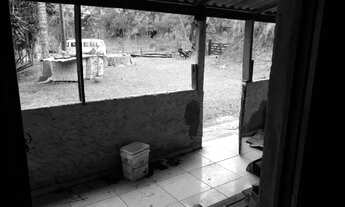 Imagem 7: Sitio da "Terapia&quot