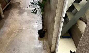 Imagem: Casa 4 cômodos