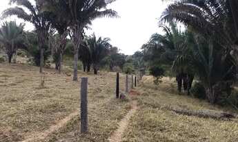 Imagem: Fazenda 207 alqueires com 170 alqueires