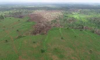 Imagem 7: Fazenda Para Vender com 1.500 Hectares em Formosa Da Serra Negra/MA
