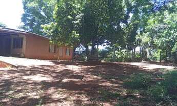 Imagem: Sítio em Apucarana