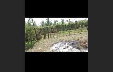 Imagem 4: Vende-se este terreno