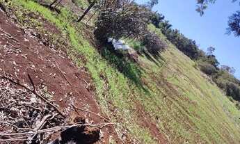 Imagem 4: Chácara Assaí PR 4.5km Br 090